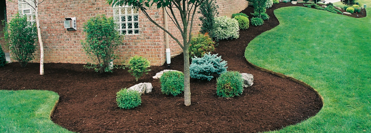 Hardwood-Mulch-Category