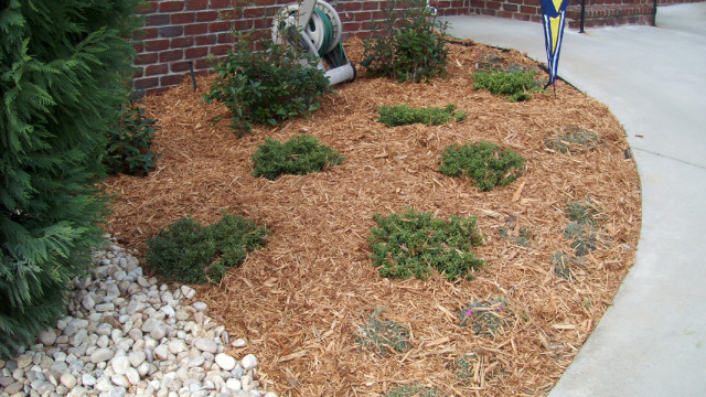 Wood-Chip-Mulch1-640x360